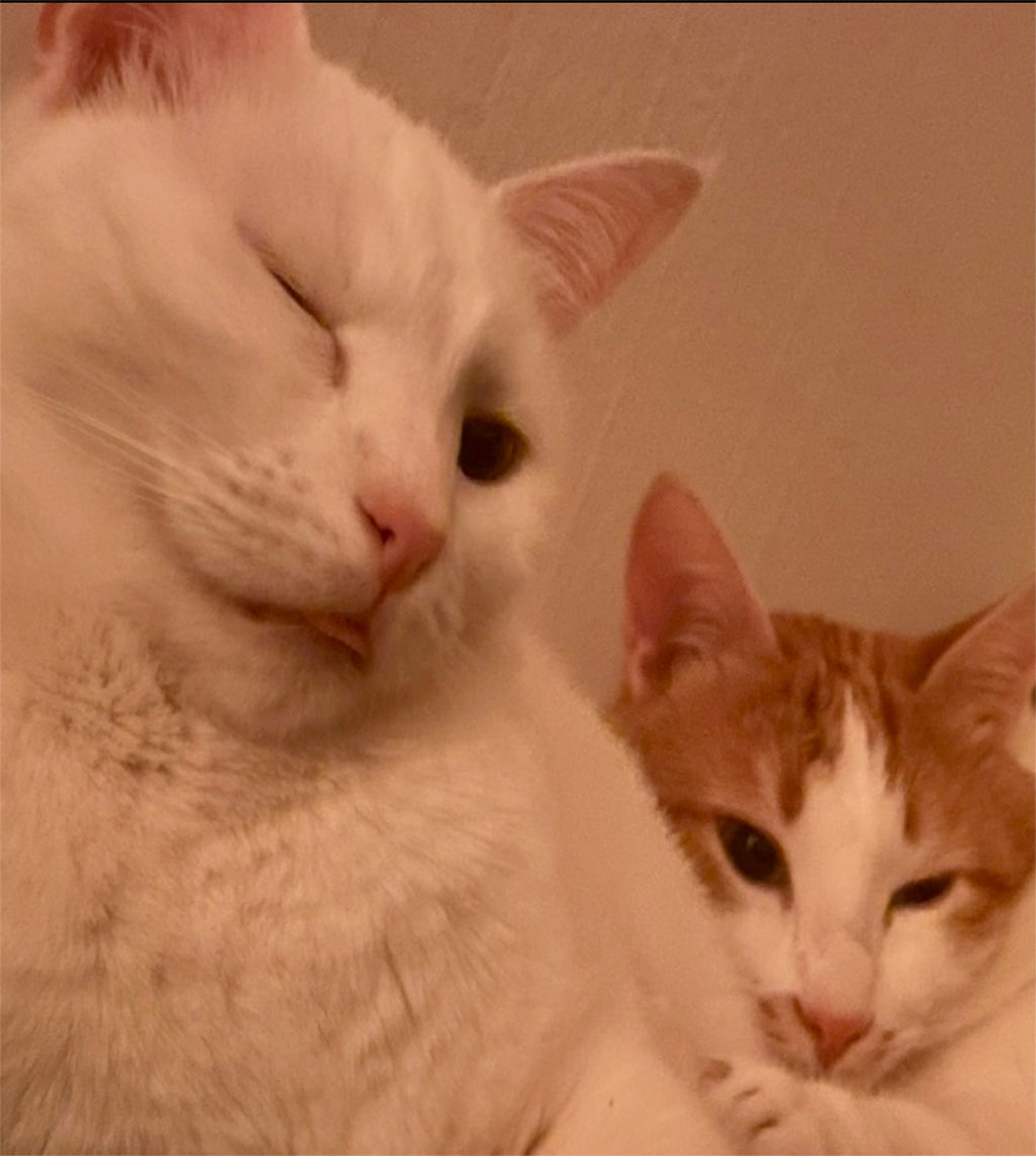 Elsa & Findus