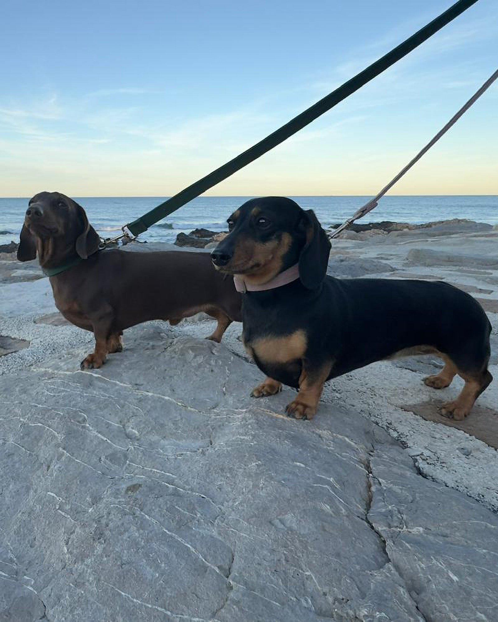 Ferro & Majo